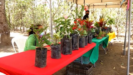 Masaya: productores fortalecen sus conocimientos para producir mejor