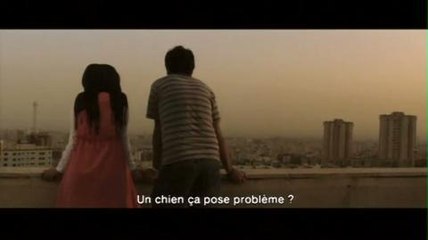 Les chats persans