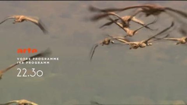 Soirée Arte (Bande-annonce 27 septembre)