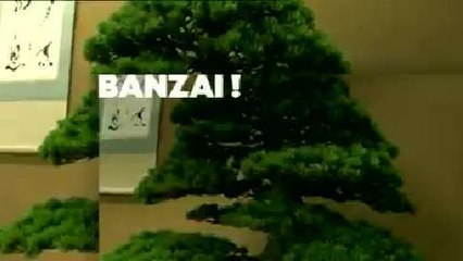 Echapées Belles (France 5) Bande-annonce du 8 septembre