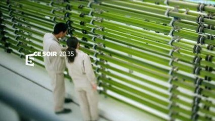 Chine, la révolution verte (France 5) Bande-annonce du 28 août
