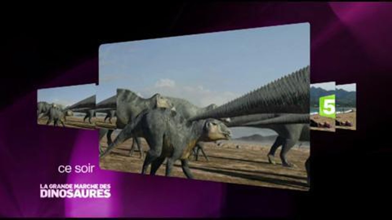 Soirée France Télévisions (Bande-annonce 25 août)