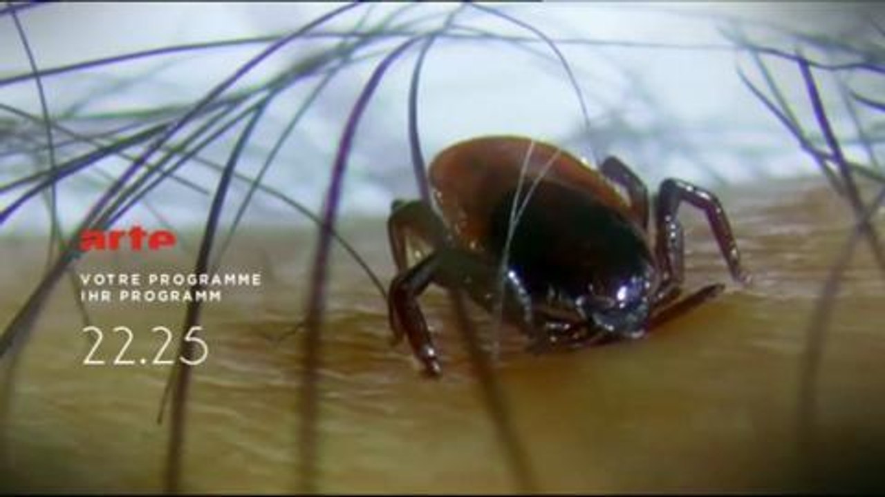 Soirée Arte 3 mai (Bande-annonce)