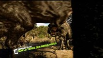 Sur la terre des dinosaures (France 4) Bande-annonce du 4 août