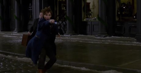 Les Animaux Fantastiques : première bande annonce du film spin-off d'Harry Potter (VO)