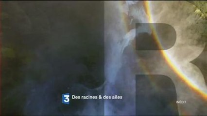 Descargar video: Bande-annonce - Des Racines et des Ailes (France 3) Mercredi 6 avril