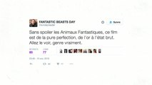 Les Animaux Fantastiques : qu'ont pensé les internautes ? (REVUE DE TWEETS)
