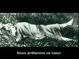 Le Dahlia Noir : bande-annonce