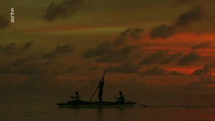 Arte - Ils font des plongeons (video test)