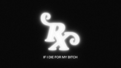 ROLE MODEL - die for my bitch