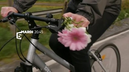 Violences faites aux femmes, la vie d'après / Le monde en face