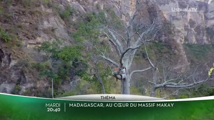 Madagascar, au coeur du massif Makay / Chacun son monde