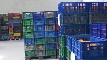 Ante las fallas del PAE, Alcaldía de Cartagena busca donaciones para estudiantes