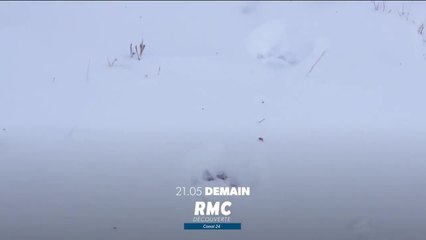 Seuls face à l'Alaska - 29 janvier