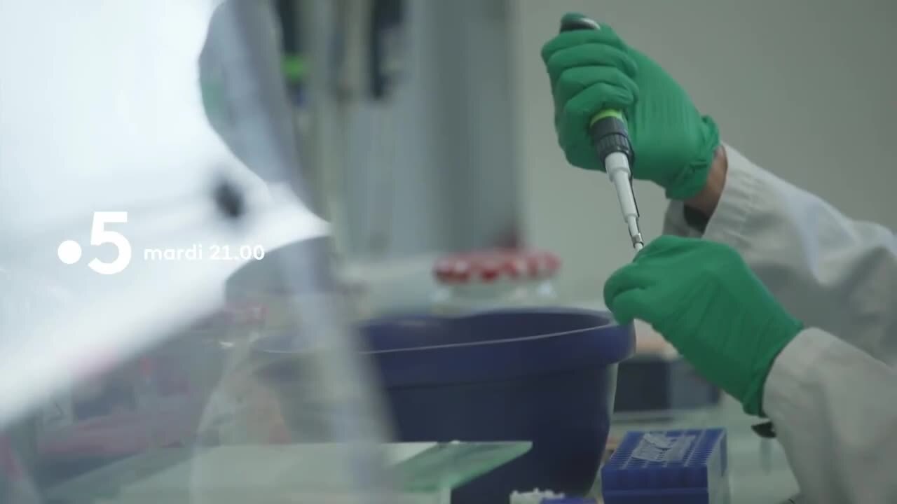 Enquête de santé - 25 janvier