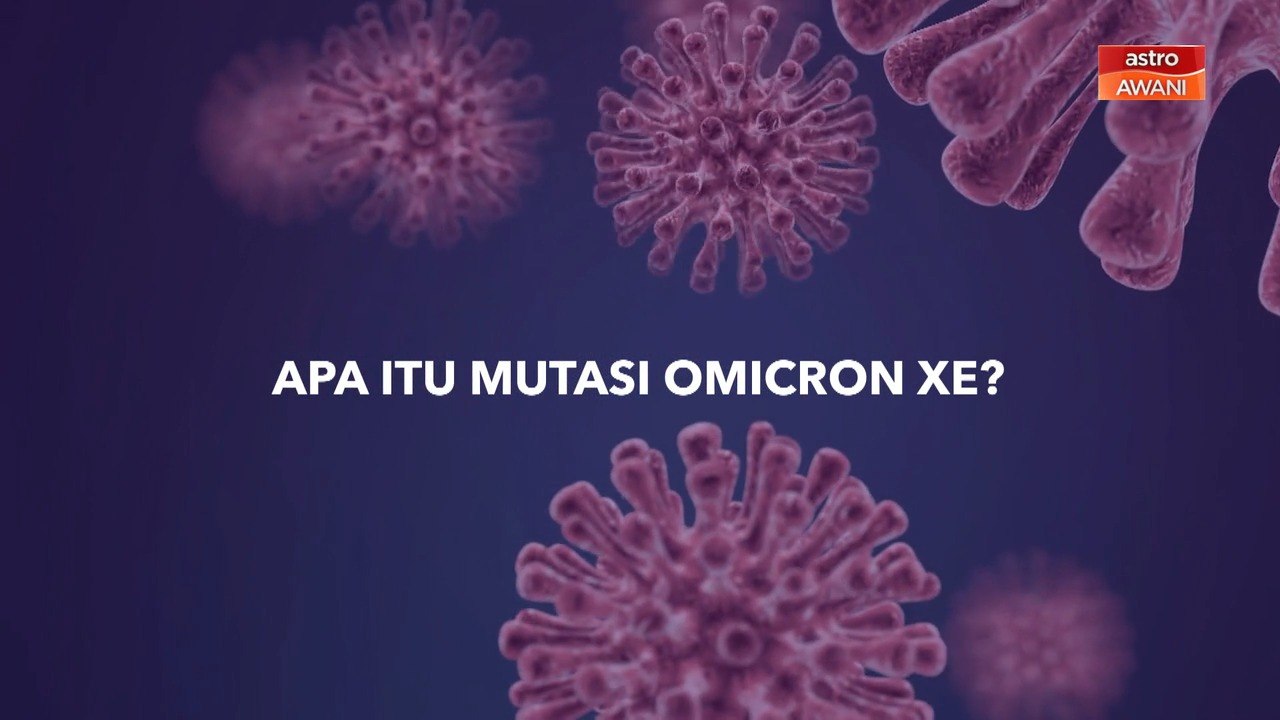 [INFOGRAFIK] Apa itu mutasi Omicron XE?