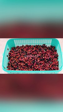 Dry Pomegranates Seeds In Air Fryer | Anar Dana Only in 30 Minutes Recipe ❗️ By CWMAP
