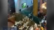 Viral Video Ganjar Pranowo Lagi Ceramah di Masjid UGM, Mahasiswa Bentangkan Spanduk 'Save Wadas'