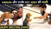 So Adorable! Varun Dhawan Plays With His Pet Joey, Wife Natasha Kisses Him