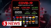 Covid-19: Downward trend in active cases continues, 11,994 new infections on Thursday