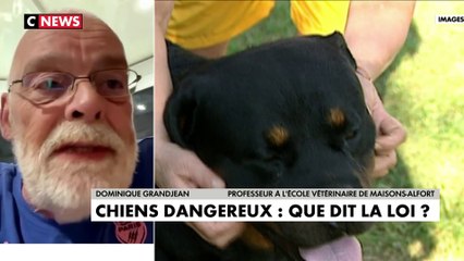 Dominique Grandjean : «N'importe quel chien peut se révéler dangereux à partir du moment où il n'y a pas de processus éducatif normal»