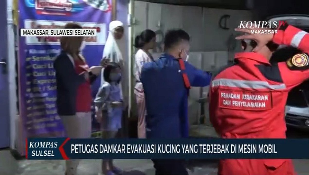 Petugas Damkar Evakuasi Kucing Yang Terjebak Di Mesin Mobil