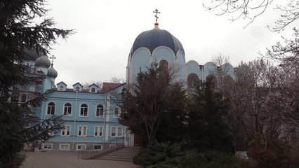 Odessa'daki manastır sahipsiz kedilere ev sahipliği yapıyor