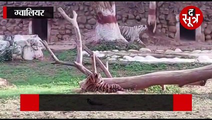 सूरज के दिखाए सख्त तेवर, अप्रैल के महीने में मई की तल्खी