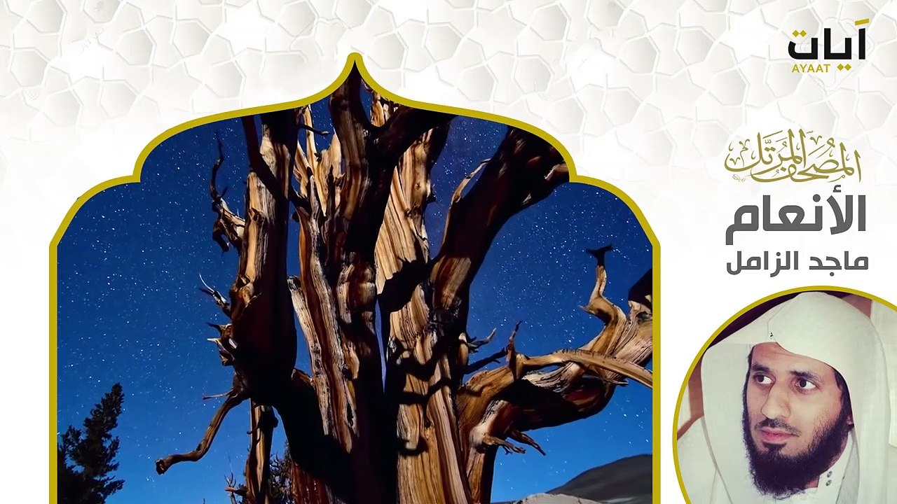 Surah Al-An'am (The Cattle) | Beautiful Quran Recitation | سورة الأنعام | সূরা আল আনআম