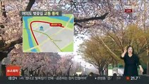 [날씨] 3년 만에 열린 벚꽃길…주말 완연한 봄 날씨