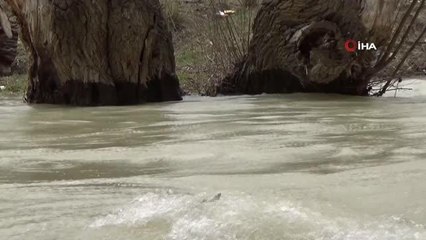 Coşan dereler, barajlar ve göletleri taşma seviyesine getirdi