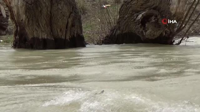 Coşan dereler, barajlar ve göletleri taşma seviyesine getirdi