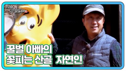 꿀벌 아빠의 꽃피는 산골  자연인 문호기
