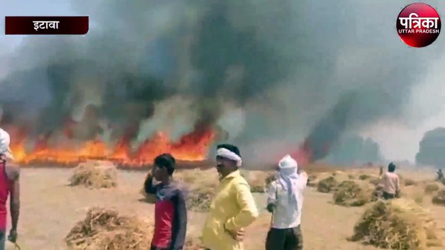 इस वजह से 250 बीघा गेहूं जलकर हुआ खाक