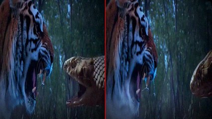 Naagin 6 Spoiler : Pratha ने नए दुश्मन शेर से ऐसे किया मुकाबला , दे दी मात | FilmiBeat