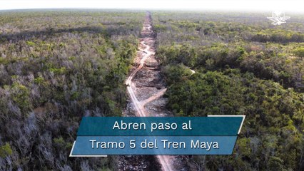 Retroexcavadoras no paran y aceleran deforestación por Tren Maya