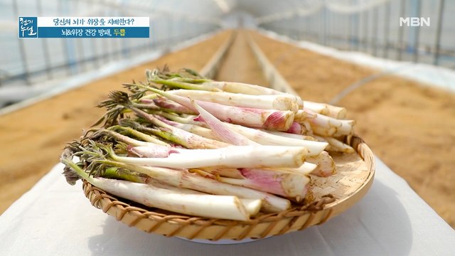 영양소 총 집합체! 뇌, 위장 건강 돕는 '두릅