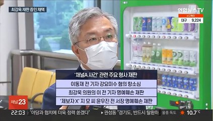'채널A기자 명예훼손' 증인 채택…의혹 어디서 왔나