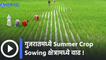 Summer Crop Sowing: गुजरातमध्ये Summer Crop Sowing क्षेत्रामध्ये वाढ | Sakal Media |