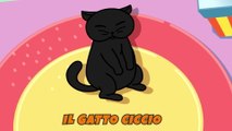 I Gatti Neri Canzoni Per Bambini - Il Gatto Ciccio
