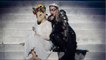 GALA VIDEO - PHOTO - Madonna chez le chef Jean Imbert à Paris : découvrez les stars françaises qui ont dîné avec elle