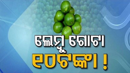 Special Story | Lemon Price Touches Rs 10 A Piece In Odisha