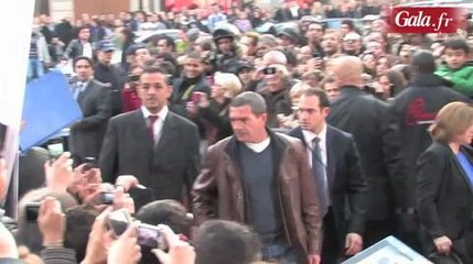 La présentation du Chat Potté sur Les Champs