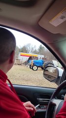 Three White Deer in Wisconsin