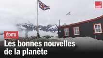 Les bonnes nouvelles de la planète