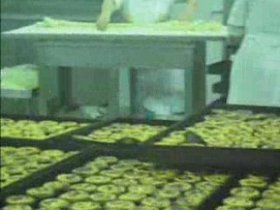 PASTEIS DE BELEM - LISBONA