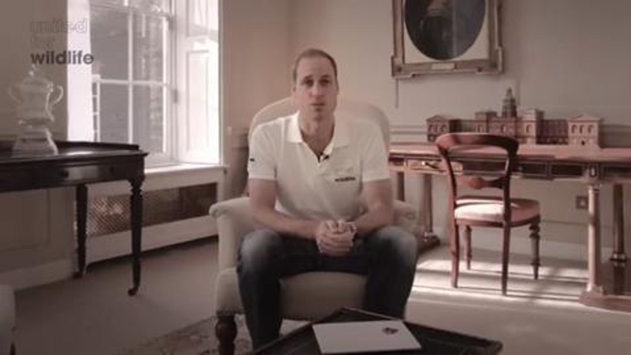 Gala.fr - William et Angry Birds pour United for Wildlife