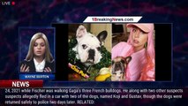 Lady Gaga Dog Walker Shooting Suspect Mistakenly Released from Jail - 1breakingnews.com