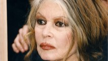 VOICI - Brigitte Bardot prend la défense de Roman Polanski : les internautes sont scandalisés