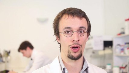 Glowee Lumière Bioluminescence